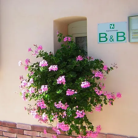 B&B Da-Di-3